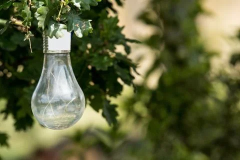 Decorative bulb with wire inside and handmade placed on a pine branch in the  Stock Photos
