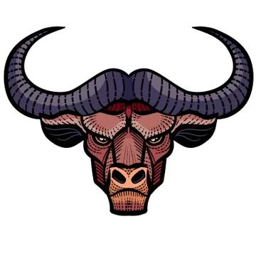 Decorative bull head with patterns for logo, label, packaging, tattoo, isolated Stock Illustration