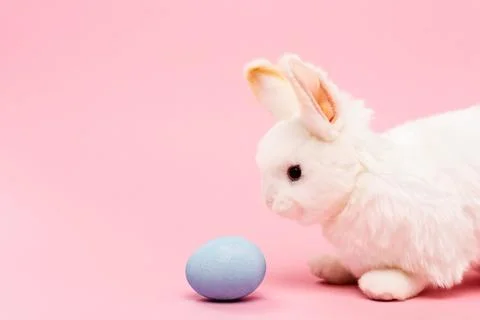 Decorative bunny blue easter egg Stock Photos