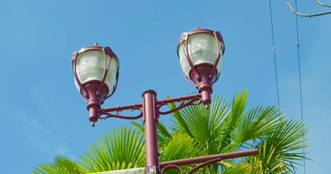Decorative burgundy double-headed street lamps stand 스톡 동영상 336661253