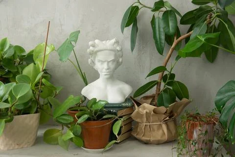 Decorative bust of a face surrounded by lush houseplants and books placed with Stock Photos