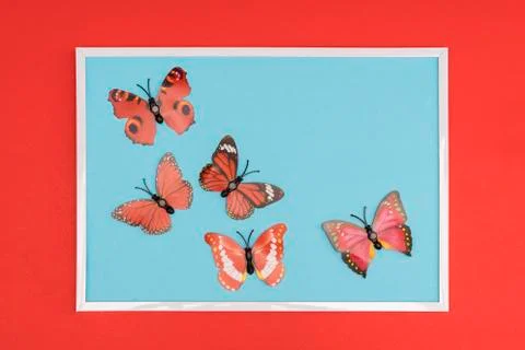  Decorative butterflies	 스톡 사진