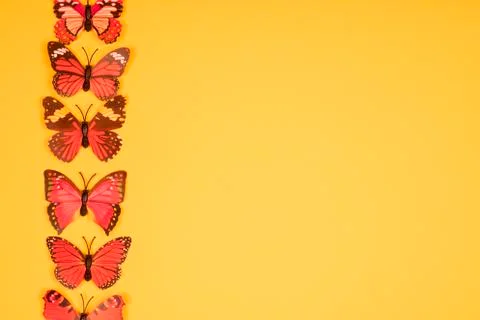   Decorative butterflies Stock Photos