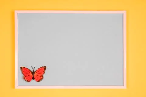  Decorative butterfly	 스톡 사진