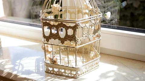Decorative cage for a bird, parrot or candle. Stock Footage 116867783