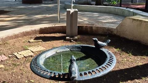 Decorative Cast Iron Bird Bath Sculpture in Sunny Public Park 4K Video stock 336692616