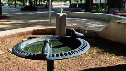 Decorative Cast Iron Bird Bath Sculpture Horizontal Pan Public Park 4K Video stock 336692882