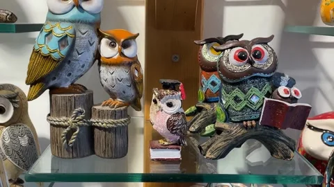 Decorative ceramic owl figurines on display shelf with colorful patterns an.. Stock Footage 331255290