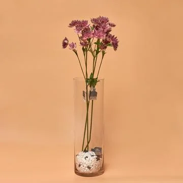 Decorative ceramic vase. Stylish Interior home design Stock Photos