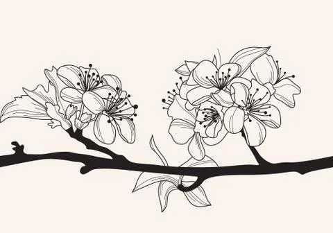 Decorative cherry blossom Stock Illustration