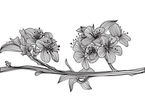 Decorative cherry blossom Illustrazione stock
