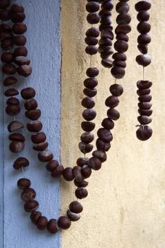 Decorative chestnut strings of beads on the wall Stock Photos