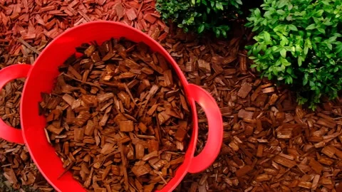Decorative chips for the garden.Red chips for mulching in red silicone bucket Stock Footage 237319233