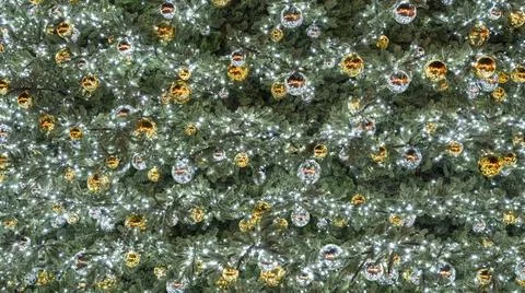 Decorative Christmas tree background featuring a lush arrangement of green 스톡 사진