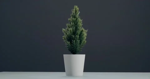 Decorative Christmas tree Stock Footage 186734343