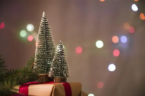 Decorative christmas trees present box. High quality photo Stock Photos
