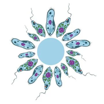 Decorative circle with different microorganisms Illustrazione stock