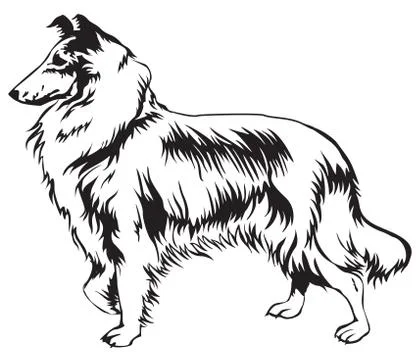 Decorative Collie vector illustration Stock Illustration