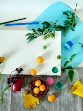 Decorative composition about studying, going from summer to autumn Stock Photos