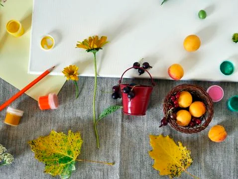 Decorative composition about studying, going from summer to autumn Stock Photos