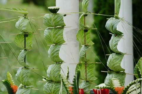Decorative composition of a mast sailboat made using cabbage leaves and oth.. Stock Photos