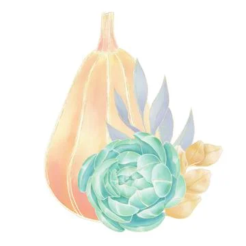 Decorative composition, pumpkin and succulent, orange and green on a white ba Stock Illustration