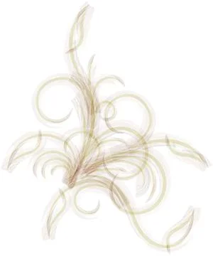 Decorative corner.  스톡 일러스트