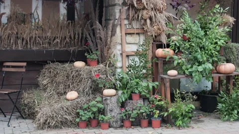 Decorative corner on the side of the road, on the pedestrian sidewalk. Stock Footage 221300311