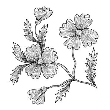 Decorative cornflower, design element decoration for invitations, cards, banners Stock Illustration