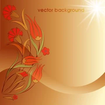 Decorative cover template Stock Illustration