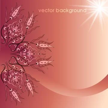 Decorative cover template Stock Illustration