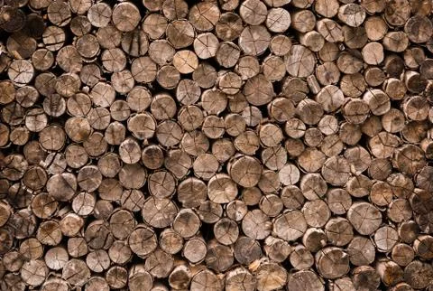 Decorative cross section view  cutting wood Stock Photos