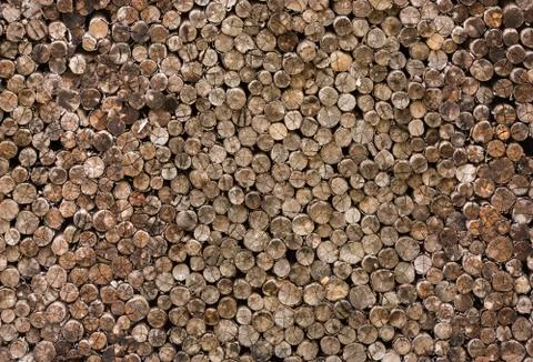 Decorative cross section view  cutting wood Stock Photos