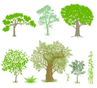 Decorative deciduous trees illustration Illustrazione stock
