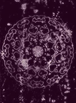 Decorative design element Stock Illustration