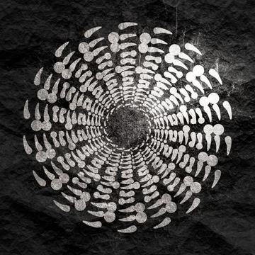 Decorative design element Stock Illustration