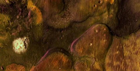 Decorative Design Featuring Artistic Patterns and Gold Details Stock Illustration