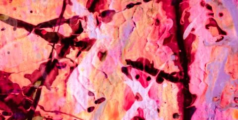 Decorative Design Featuring Artistic Patterns and Gold Details Stock Illustration