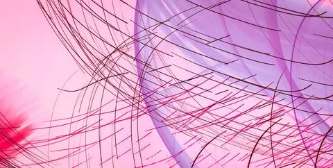 Decorative Design Featuring Artistic Patterns and Gold Details Stock Illustration