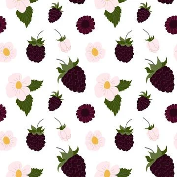 This decorative design showcases a vibrant pattern of blackberries paired wit Stock Illustration