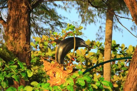 Decorative Dolphin Stock Photos