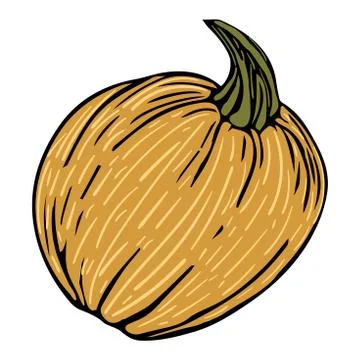 Decorative doodle pumpkin isolated Stock Illustration