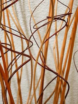 Decorative dried natural branches creating abstract warm pattern Stock Photos