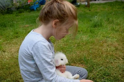 Decorative dwarf rabbit in the arms. Fotos de archivo