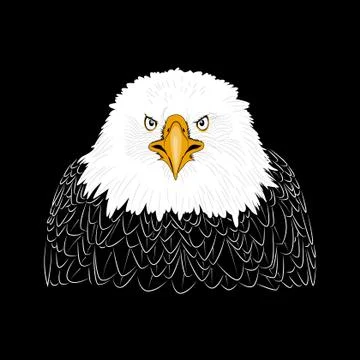 Decorative Eagle Head Illustration With Black Background Stock Illustration