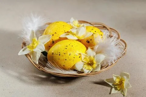 Decorative Easter basket with yellow speckled eggs and spring daffodils Foto stock