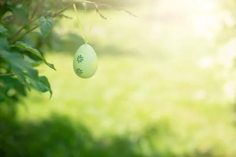 Decorative Easter egg hanging on flowering tree. Easter background. family ce Stock Photos