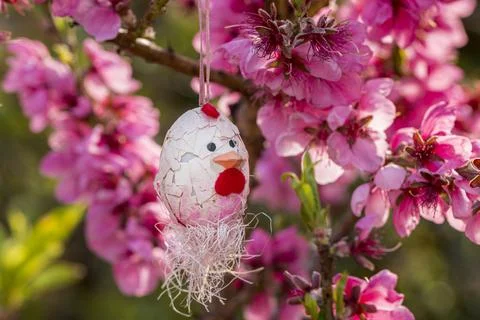Decorative Easter egg hanging on flowering cherry tree with pink flowers. Stock-Fotos