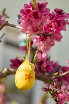 Decorative Easter egg hanging on flowering cherry tree with pink flowers. 스톡 사진