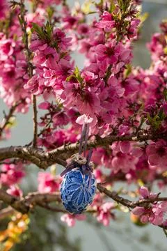 Decorative Easter egg hanging on flowering cherry tree with pink flowers. Foto stock